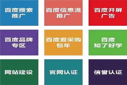 某公司如何利用SEO和SEM提升线上业务——真实案例分析